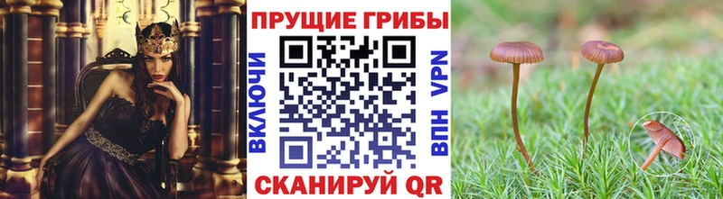 Галлюциногенные грибы Magic Shrooms Сегежа